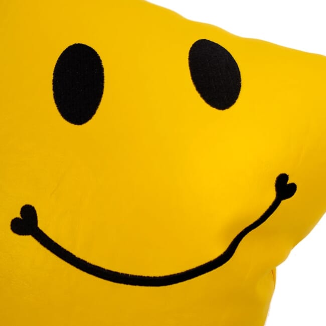 s-f-leather-yellow-bk-smile