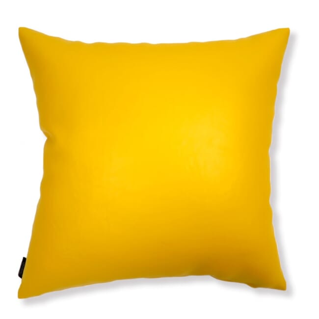 s-f-leather-yellow-bk-smile