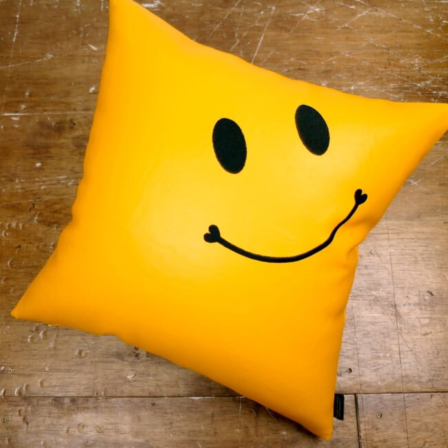 s-f-leather-yellow-bk-smile