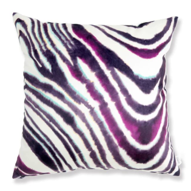 rioma-purplerzebra-50