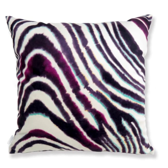 rioma-purplerzebra-50