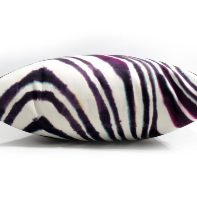 rioma-purplerzebra-50