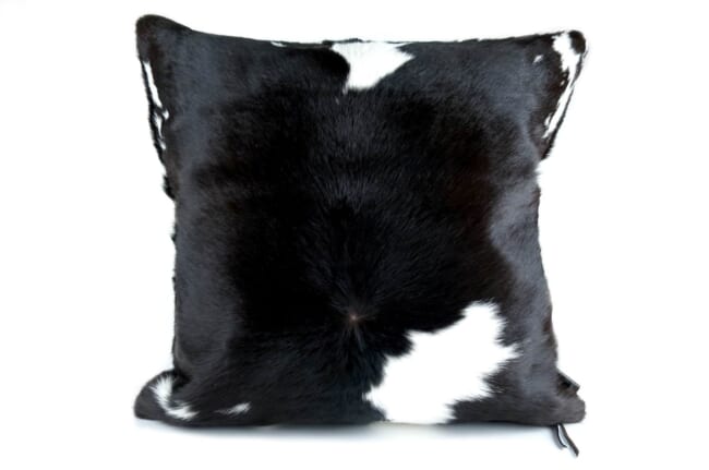 cowcushion020