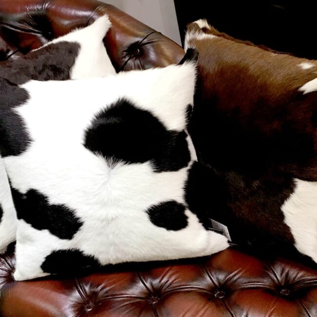 cowcushion018