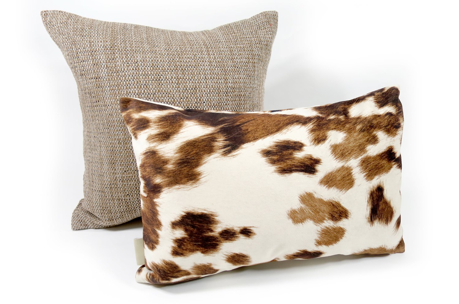 ad-cow-light-brown4530