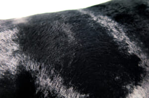 至極の手触りエコファークッションカバー ブラック 45×45cm