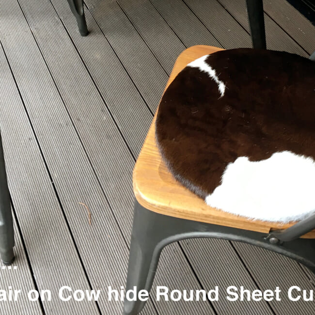 cowroundsheet19