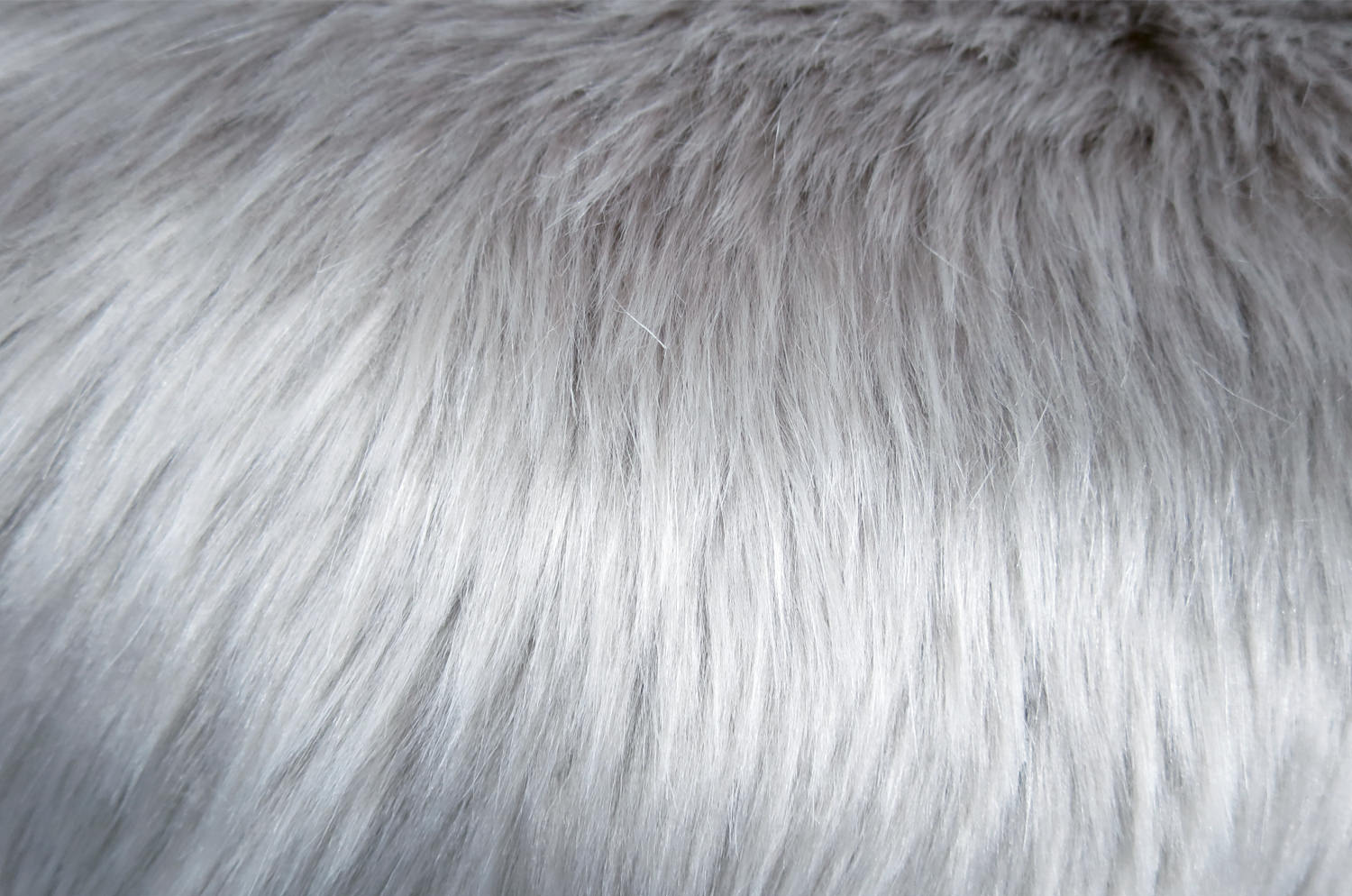 ecofur-silverfox6038