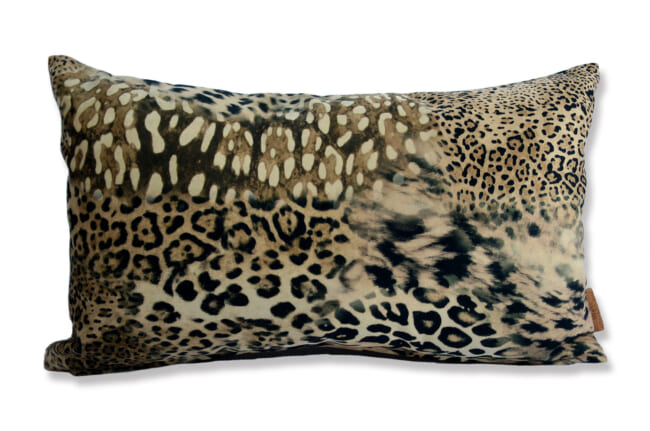 spain-leopard-5030