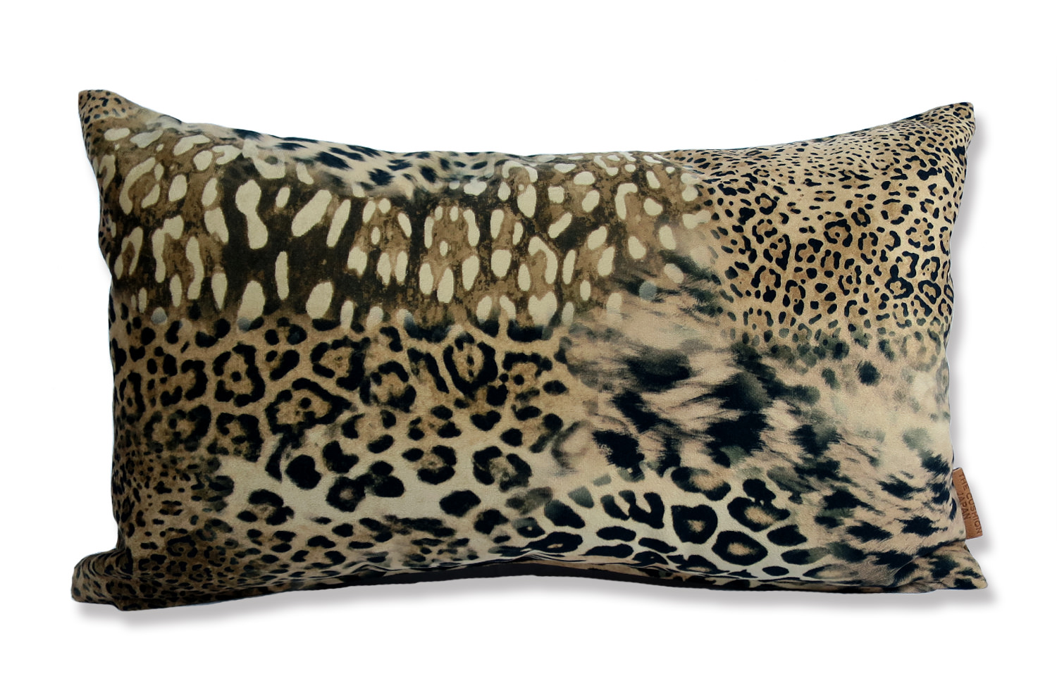 spain-leopard-5030
