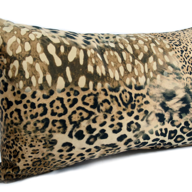 spain-leopard-5030