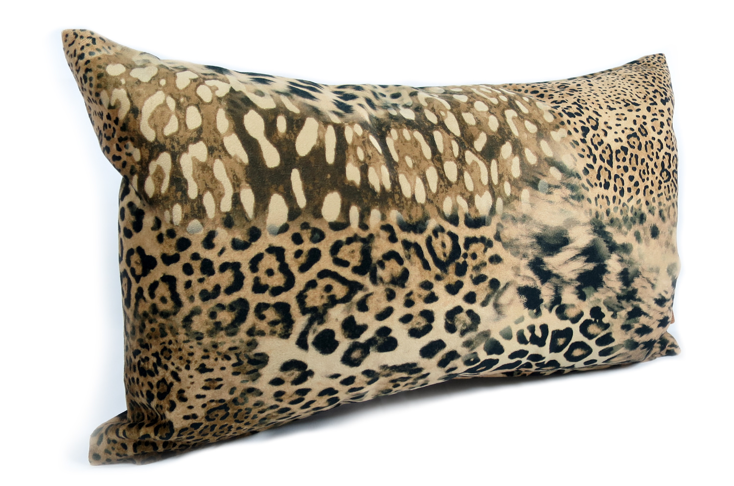 spain-leopard-5030
