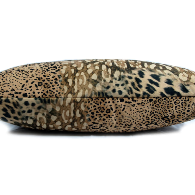 spain-leopard-5030