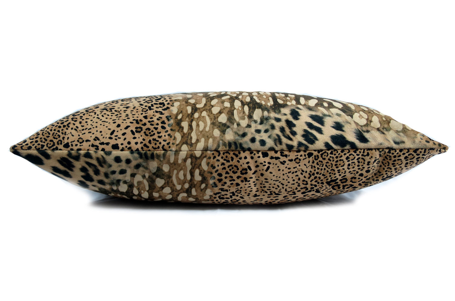 spain-leopard-5030