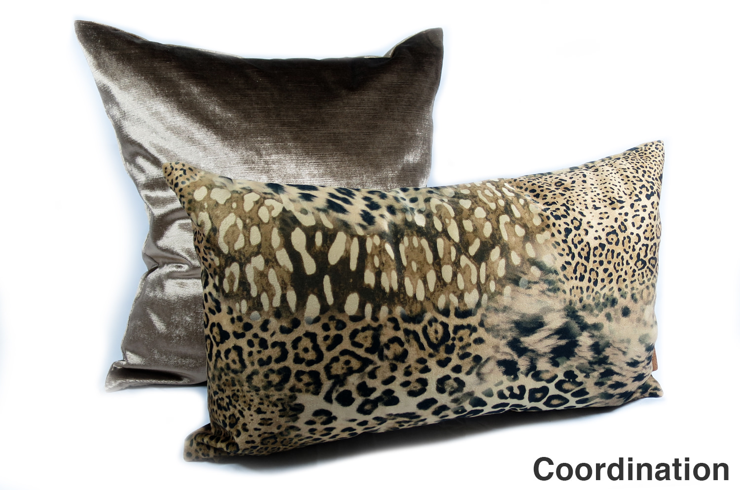 spain-leopard-5030