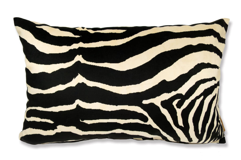 spain-brownzebra5033
