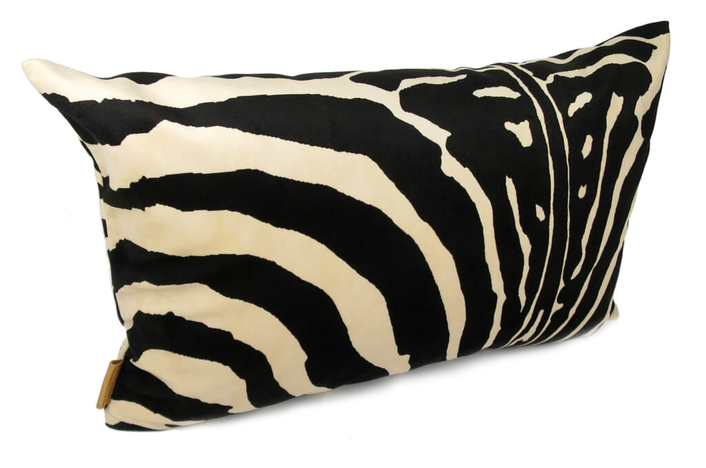 spain-brownzebra5033