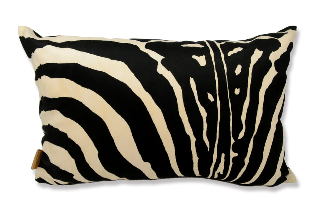 spain-brownzebra5033