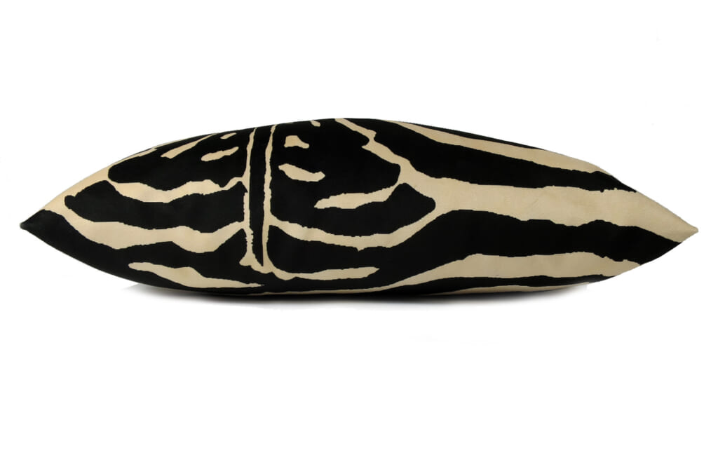 spain-brownzebra5033