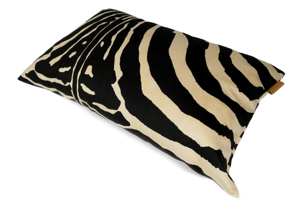 spain-brownzebra5033