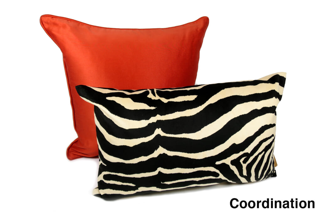 spain-brownzebra5033