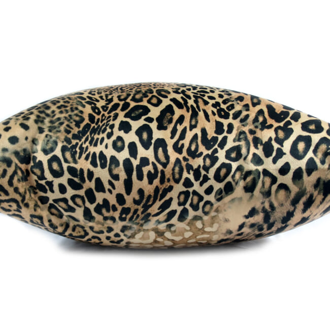 spain-leopard-50