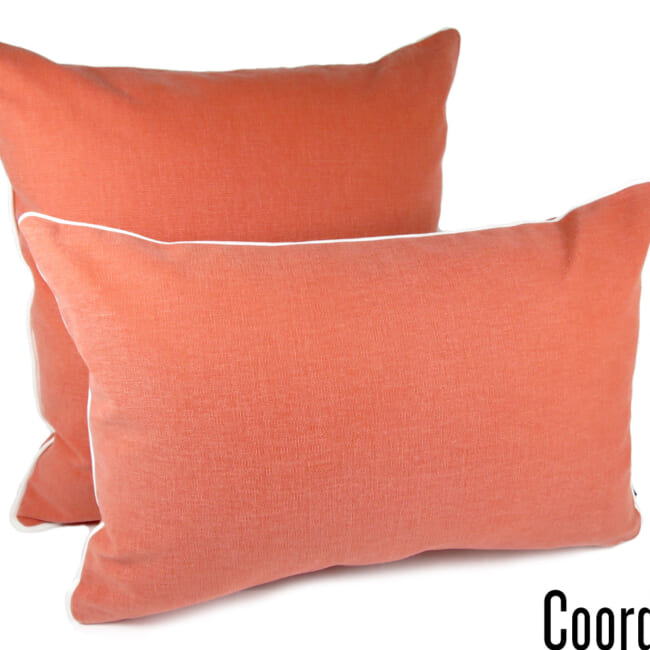 co-cotton-carrot4530