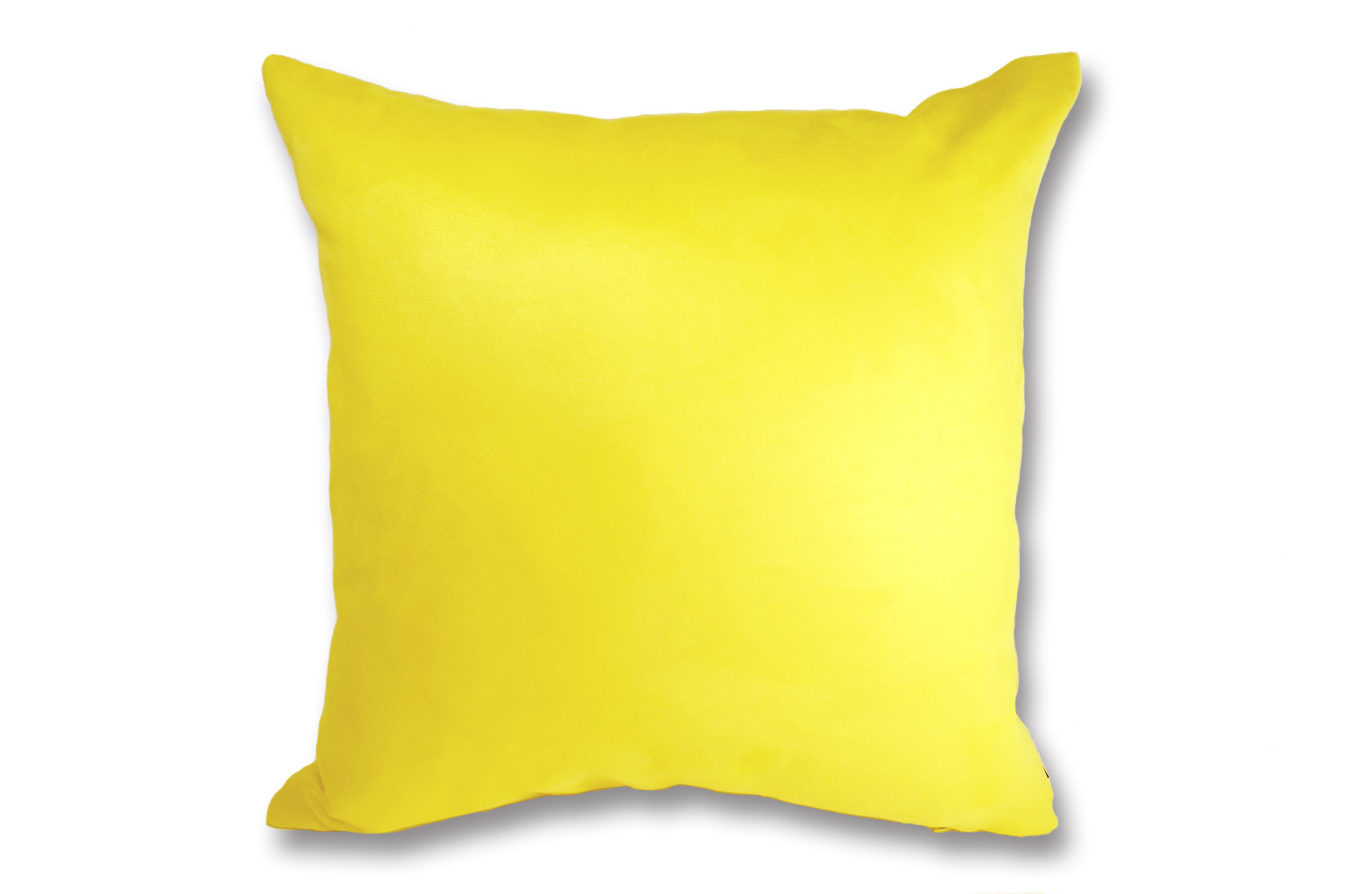 r-sueback-lemon