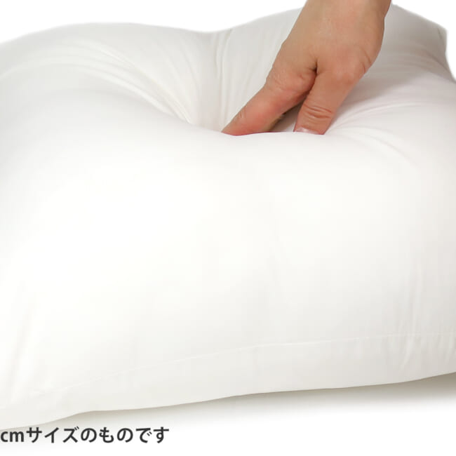 nudecushion45