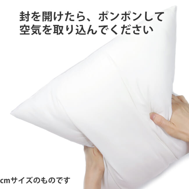 nudecushion60