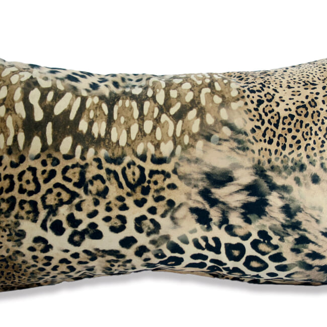 spain-leopard-5030