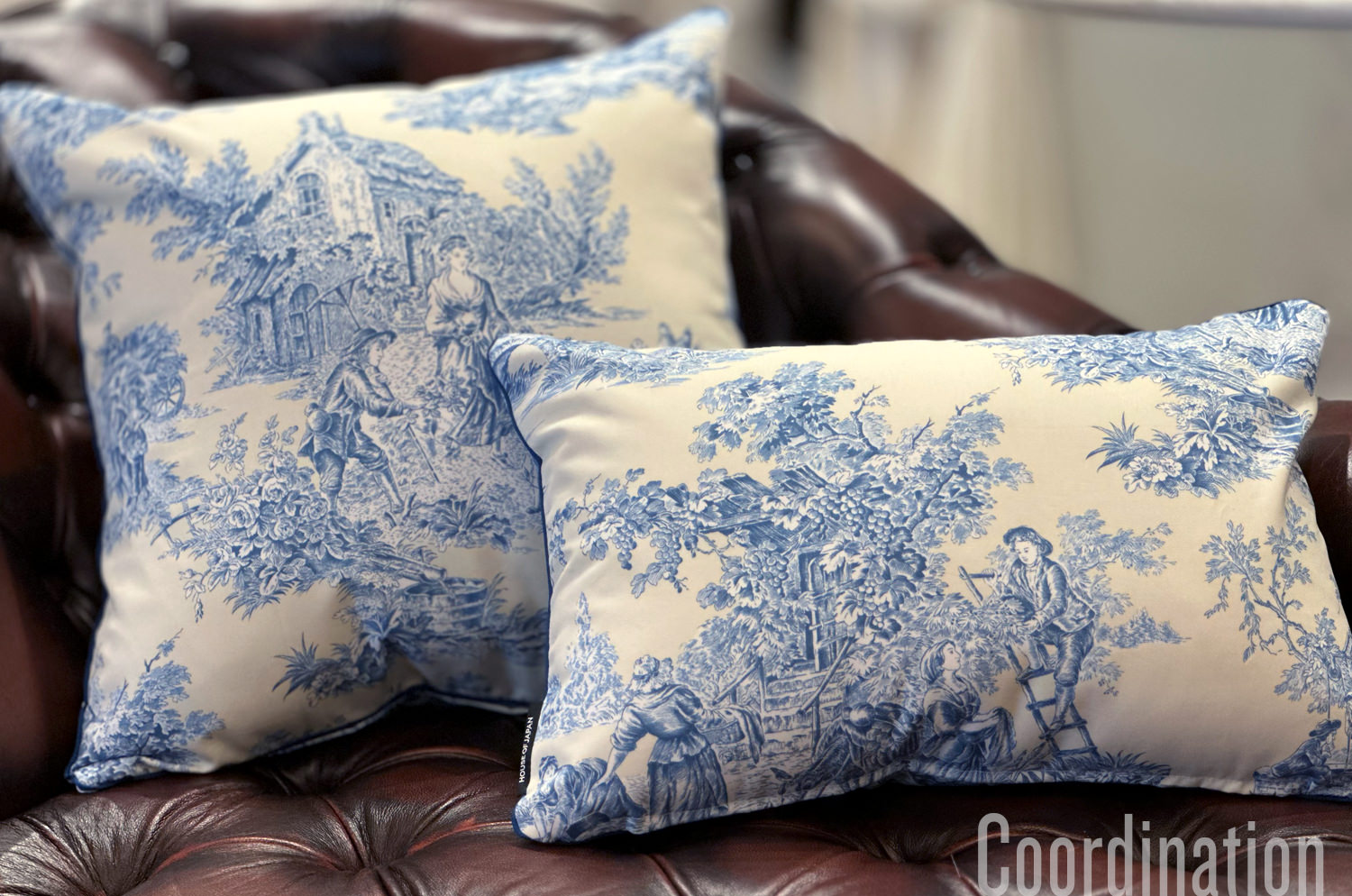 manuelcanovas-toile50