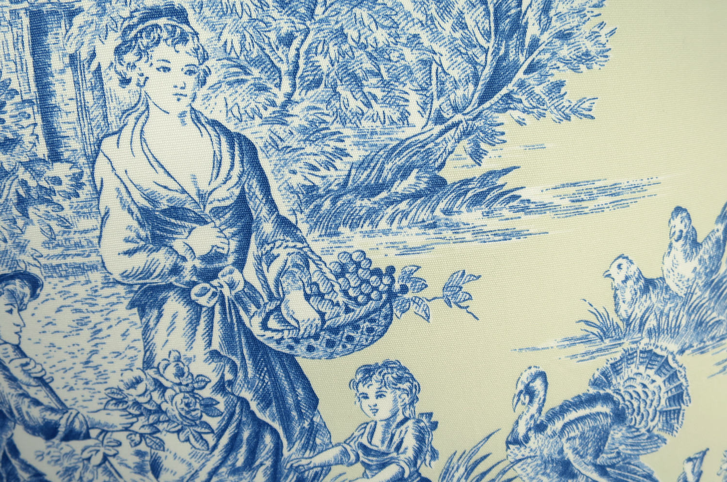 manuelcanovas-toile50