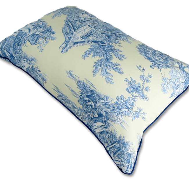 manuelcanovas-toile5035