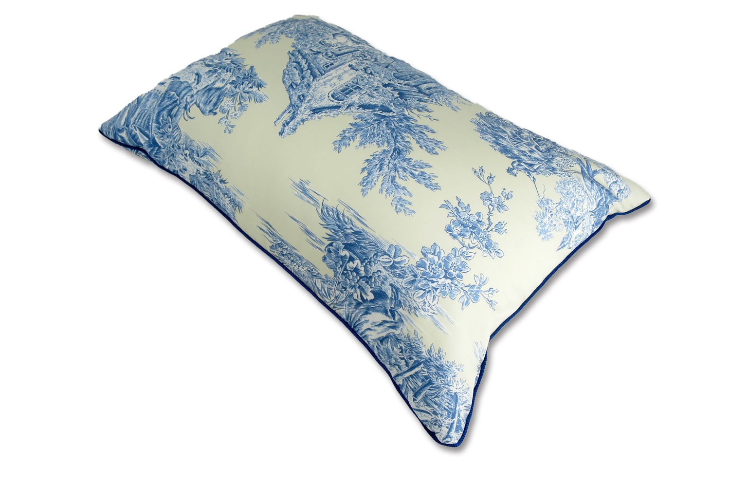 manuelcanovas-toile5035