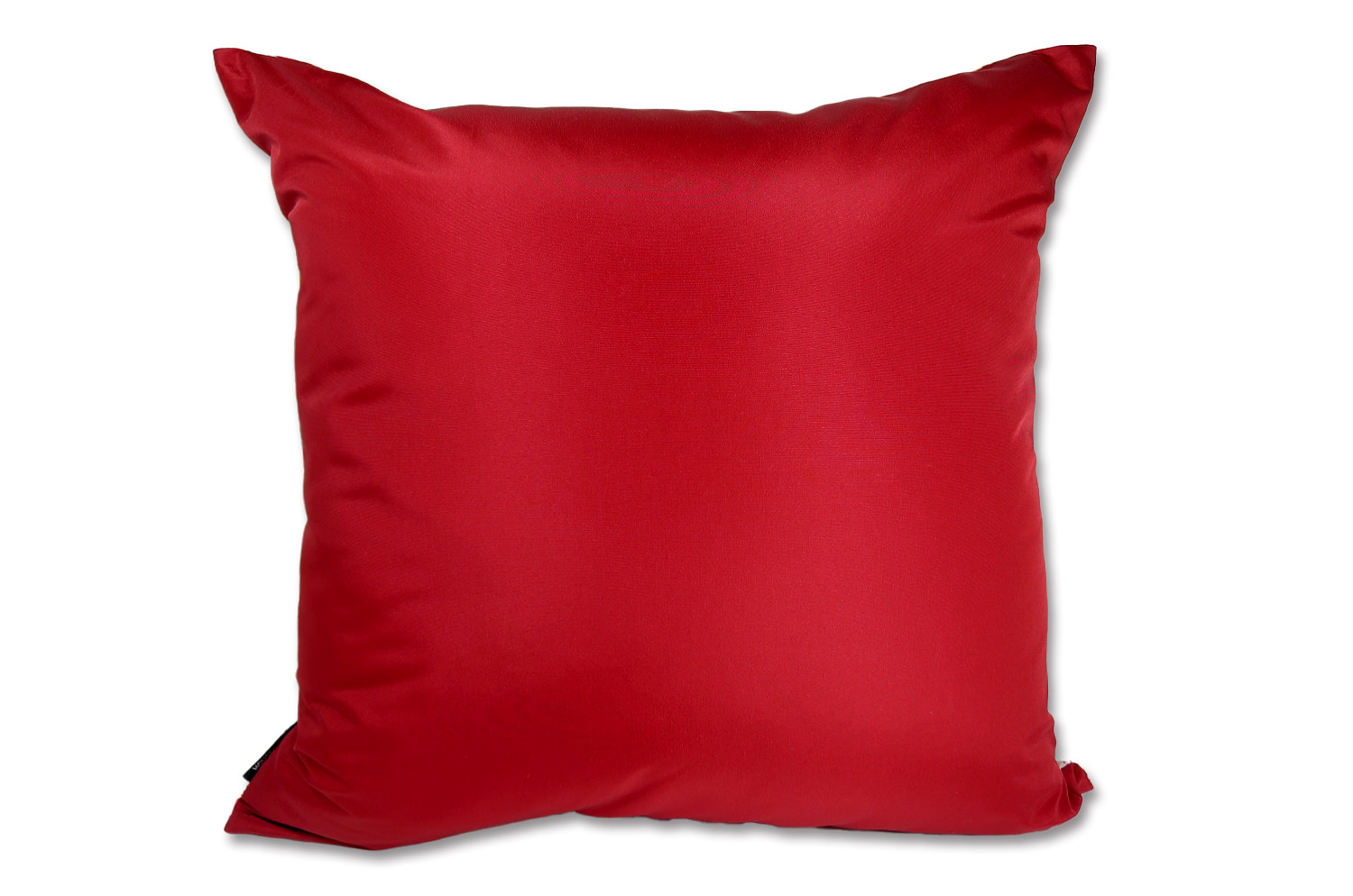 romy-whitered45