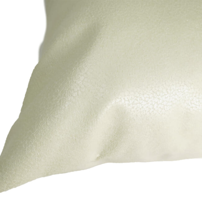 baghera-Ivory45