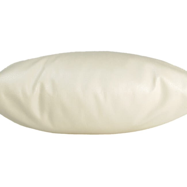 baghera-Ivory45
