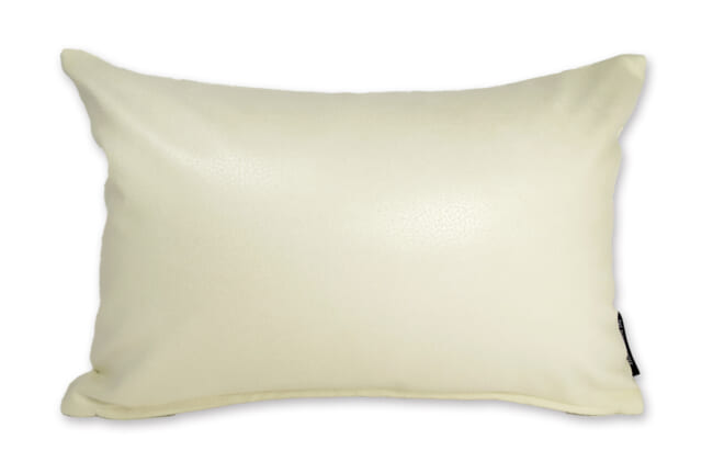 baghera-Ivory4530