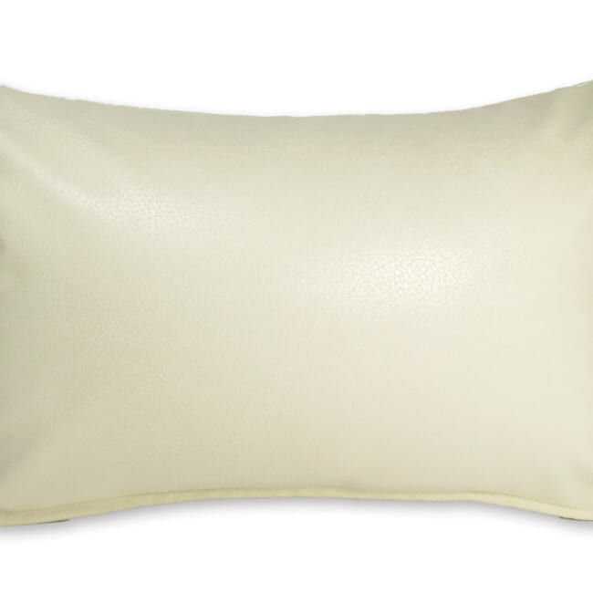 baghera-Ivory4530