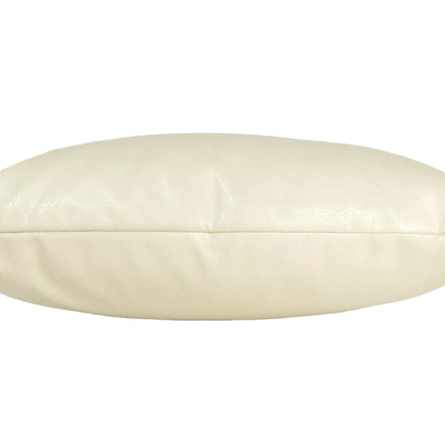 baghera-Ivory4530