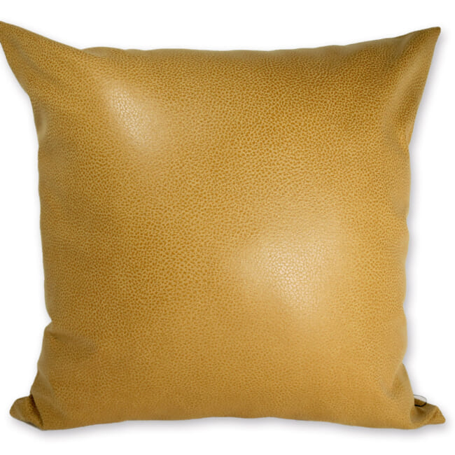 baghera-ocher45