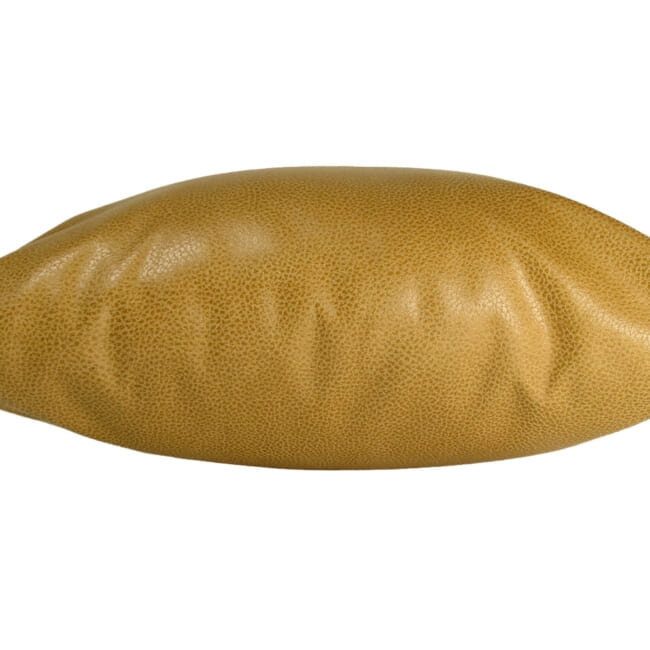 baghera-ocher45