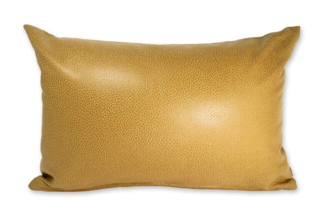 baghera-ocher4530
