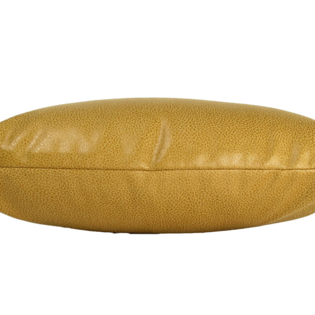 baghera-ocher4530