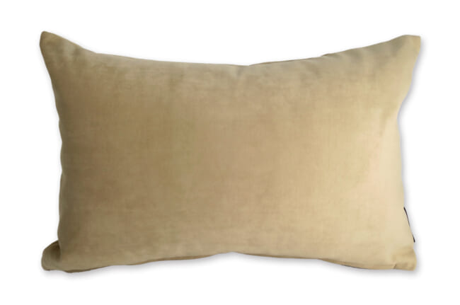 rebecca-biscuit4530