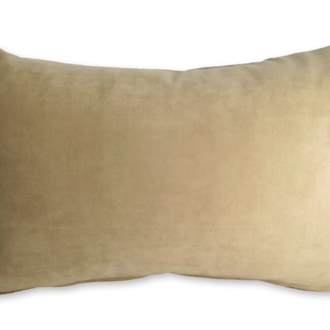 rebecca-biscuit4530