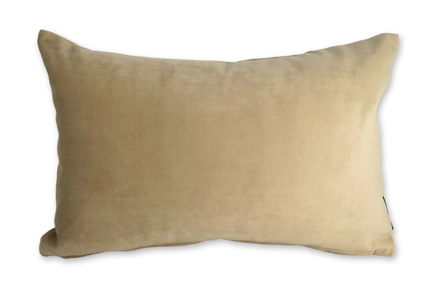 rebecca-biscuit4530