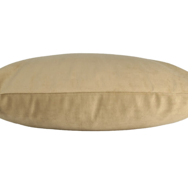 rebecca-biscuit4530
