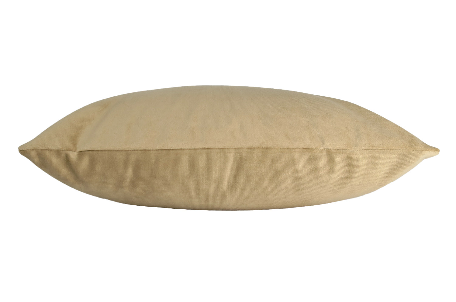 rebecca-biscuit4530